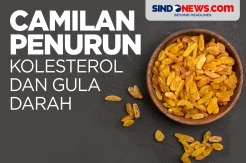 Camilan Sehat Penurun Kolesterol Tinggi dan Gula Darah