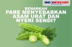 Benarkah Sayur Pare Sebabkan Asam Urat dan Nyeri Sendi?