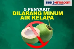 Hati-hati, 5 Penyakit Ini Dilarang Minum Air Kelapa