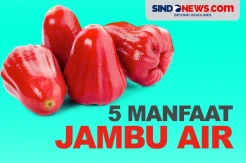 Manfaat Jambu Air, Mampu Atur Tingkat Gula Darah