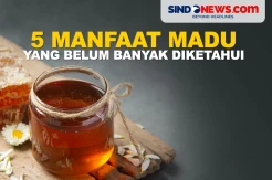 5 Manfaat Madu yang Belum Banyak Diketahui Orang