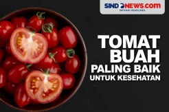 Ternyata Tomat Buah yang Paling Baik untuk Kesehatan