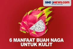 6 Manfaat Buah Naga untuk Kulit, Mencerahkan hingga Antijerawat