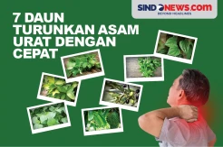 Tujuh Jenis Daun Mampu Turunkan Asam Urat dengan Cepat