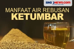 Manfaat Air Rebusan Ketumbar untuk Menjaga Kesehatan