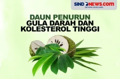 Ampuh, 7 Daun Ini Bisa Turunkan Gula Darah dan Kolesterol Tinggi