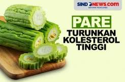 Pare Ampuh untuk Menurunkan Kadar Kolesterol Tinggi