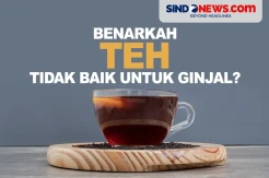 Benarkah Teh Tidak Baik untuk Ginjal? Cek faktanya