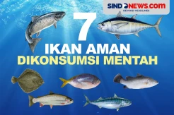 7 Ikan Aman Dikonsumsi Mentah, Kaya akan Nutrisi dan Protein