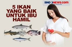 5 Ikan yang Baik untuk Ibu Hamil, Kaya akan Omega-3