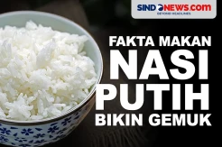 Apakah Makan Nasi Putih Bikin Gemuk? Begini Faktanya