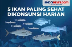 5 Ikan Paling Sehat Dikonsumsi Sehari-hari