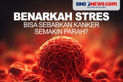Benarkah Faktor Stres Bisa Sebabkan Kanker Semakin Parah?