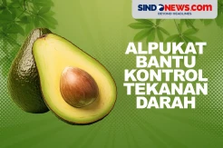Manfaat Alpukat, Bisa Membantu Mengontrol Tekanan Darah