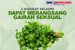 5 Khasiat Seledri, Bisa Meningkatkan Gairah Seksual