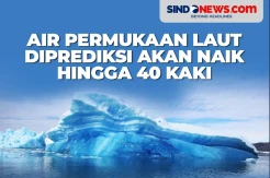 Air Permukaan Laut Diprediksi Akan Naik hingga 40 Kaki