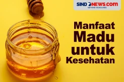 Manfaat Madu untuk Kesehatan Ini Bikin Tubuh Lebih Strong