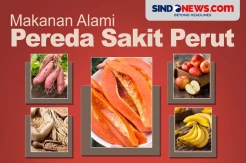 Buang Racun dalam Tubuh, Berikut Makanan Pereda Sakit Perut