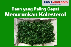 10 Daun yang Bisa Menurunkan Kolesterol dengan Cepat
