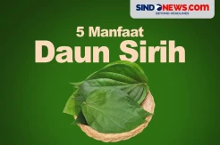 5 Manfaat Daun Sirih, Salah Satunya Ampuh Meredakan Stres