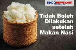 Beberapa Hal yang Harus Dihindari setelah Makan Nasi