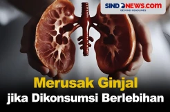 Batasi Konsumsinya, Berikut 5 Suplemen yang Bisa Merusak Ginjal