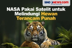 NASA Pakai Satelit untuk Melindungi Hewan Terancam Punah