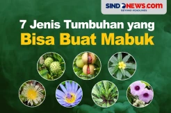 7 Jenis Tumbuhan yang...