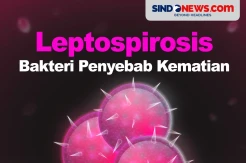 Mengenal Leptospirosis, Bakteri yang Bisa Menyebabkan Kematian