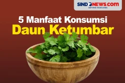 5 Manfaat Mengonsumsi Daun Ketumbar untuk Kesehatan