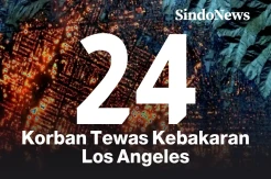 Korban Tewas Kebakaran Los Angeles Menjadi 24 Orang