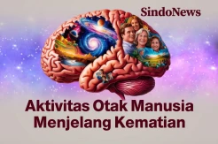 Ilmuwan Ungkap Aktivitas Otak Manusia Menjelang Kematian
