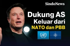 Rencana AS  Keluar dari NATO dan PBB Didukung Elon Musk
