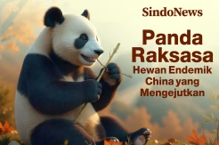 Panda Raksasa Hewan Endemik China yang Mengejutkan