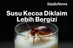 Susu Kecoa Diklaim Peneliti Tiga Kali Lebih Bergizi