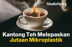 Kantong Teh Melepaskan Jutaan Mikroplastik dan Diserap Sel Usus