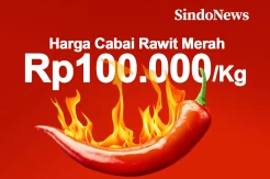 Harga Cabai Rawit Merah Rp100.000 per Kg, Wamendag Salahkan Cuaca