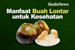 Buah Lontar Memiliki Manfaat yang Sangat Baik untuk Menu Diet