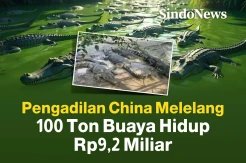 Pengadilan China Melelang 100 Ton Buaya Hidup Rp9,2 Miliar