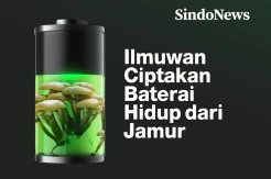 Ilmuwan Swiss Berhasil Ciptakan Baterai Hidup dari Jamur