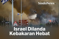 Dilanda Kebakaran Hebat, Israel Umumkan Keadaan Darurat