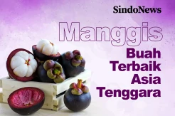 Jadi Buah Terbaik di Asia Tenggara, Ini 7 Manfaat Manggis untuk Kesehatan