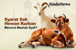 Syarat Sah Hewan Kurban, Tidak Boleh Cacat