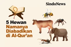 5 Hewan yang Namanya Diabadikan dalam Al-Quran