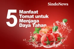 5 Manfaat Tomat, Menjaga Daya Tahan Tubuh di Musim Tak Menentu