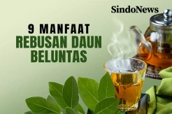 9 Manfaat Rebusan Daun Beluntas, Bantu Kendalikan Kadar Gula Darah