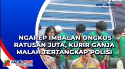 Ngarep Imbalan Ongkos...