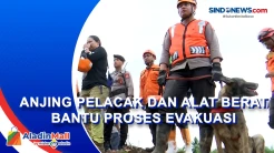 Alat Berat dan Anjing Pelacak Dikerahkan Bantu Evakuasi Korban Gempa dan Tanah Longsor di Cugenang