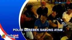Kocar-kacir Pelaku Sabung Ayam saat Penggerebekan