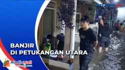 Banjir, Kali Meluap Rendam Ratusan Rumah di Petukangan Utara